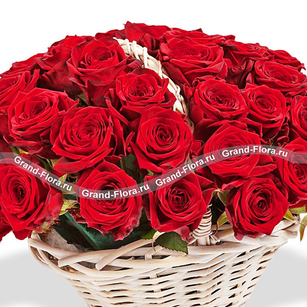 Танец любви - корзина красных роз